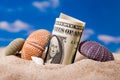 Sea Hedgehog shells and dollar money on sand Royalty Free Stock Photo