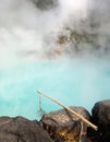 Sea Hell attraction in Beppu