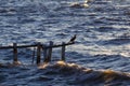 Sea hitting the rocks in the late afternoon in Florianopolis, Santa Catarina, Brazil