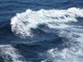 Sea and horizon from a container ship 4