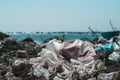 Sea horizon line. Real ocean life climate crisis, nature land pollution. Dirty sand beach, throwing outdoor plastic