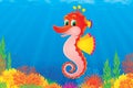 Sea horse Royalty Free Stock Photo