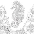 Sea horse coloring book page