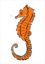 Sea horse