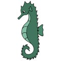 Sea Horse. Fish of the order of needle-like. Master of disguise. Colored vector illustration. Isolated white background. Royalty Free Stock Photo