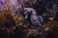 A sea horse gracefully swims among lush plants in an aquarium, A peaceful seahorse nestled among underwater vegetation, AI Royalty Free Stock Photo