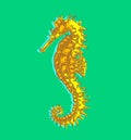 Sea horse, isolated, seafood concept, menu design, icon, graphic symbol, vector illustration on color Royalty Free Stock Photo