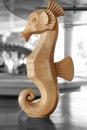 Sea horse Royalty Free Stock Photo