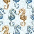 Sea horse seamless pattern