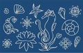 Sea horse, shells and doodle elements. Graphic sea life collection. Vector ocean creatures isolated on dark blue background. Set Royalty Free Stock Photo