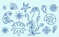 Sea horse, shells and doodle elements. Graphic sea life collection. Vector ocean creatures isolated. Blue colors. Royalty Free Stock Photo