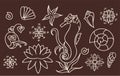 Sea horse, shells and doodle elements. Graphic sea life collection. Vector ocean creatures isolated on dark brown background. Royalty Free Stock Photo