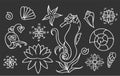 Sea horse, shells and doodle elements. Graphic sea life collection. Vector ocean creatures isolated on dark gray background. Royalty Free Stock Photo