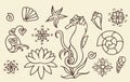 Sea horse, shells and doodle elements. Graphic sea life collection. Vector ocean creatures isolated. Vintage brown and beige color Royalty Free Stock Photo