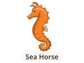 Sea horse underwater animal cartoon illustration