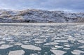 Sea Ice in a Glacial Bay Royalty Free Stock Photo