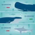 Sea icons and symbols set. Sea animals. Nautical design elements. Concept website template. Vector Royalty Free Stock Photo