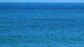 Sea Idyll. Fresh Water. Ocean Or Sea Waves Background. Pan. Royalty Free Stock Photo