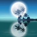 Sea with island with palm trees and full moon. Royalty Free Stock Photo