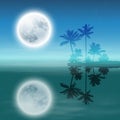 Sea with island with palm trees and full moon. Royalty Free Stock Photo