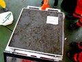 The Sea of Japan / Russia - November 30 2013: Box core sampler got a good piece of the sea bottom mud