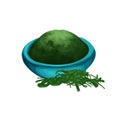 Sea Kelp. Marine Food, japanese food tasty vector realisitic illustration, for game art, menu, poster.