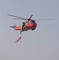 Sea king