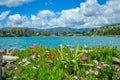 Sea lagoon with turquoise water, colorful flowers and green grass Royalty Free Stock Photo