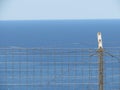 Sea landscape with barbered wire fence