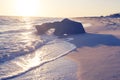 Old snag lies on the surf line