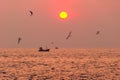 Sea landscape at sunset time with fishing boat on the horizon and birds