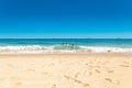 Sea lanscape with sand beach and blue sky Royalty Free Stock Photo