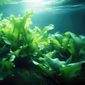 Sea Lettuce Swaying Underwater, Closeup. Generative AI