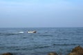 Board riding fast. sea line with sky background.