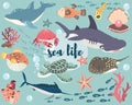 Sea Life Animal Collection Set