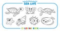 Sea theme. Big coloring book set. Kids vector Royalty Free Stock Photo