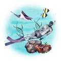 Sea life composition with a diver, coral reef, seaweed, marine animals and tropical fishes. Watercolor illustration on white
