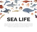 Sea Life and Creature Banner Design Vector Template