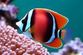 Sea life exotic tropical coral reef copperband butterfly fish. Neural network AI generated