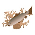 Sea life icon isometric vector. Swimming fish and dark brown seaweed icon