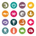 Sea life icons