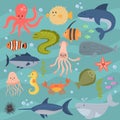 Sea life underwater cartoon animals cute marine characters fish aquarium tropical aquatic vector illustration. Royalty Free Stock Photo