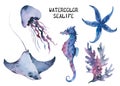 Sea Life Watercolor ocean animals set. isolated objects, illustrstion on white background. Royalty Free Stock Photo