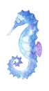 Sea life. watercolor seahorse