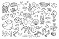 Sea line doodle icons. Hand drawn minimal underwater aquarium symbols, seashell fish algae shell sketchy art. Vector set