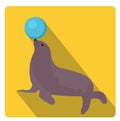 Sea lion with a ball, circus icon flat style with long shadows, isolated on white background. Vector illustration. Royalty Free Stock Photo