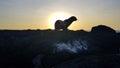 A sea lion on black rocks at sunset in Fernandina island, Galapagos Royalty Free Stock Photo