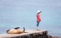 Sea lion and boy Royalty Free Stock Photo