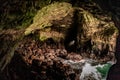 Sea Lion Caves in Florence Oregon at the Coast Royalty Free Stock Photo