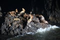 Sea Lion Caves - Florence Oregon USA Royalty Free Stock Photo